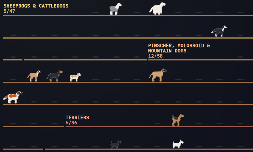 Benches of the dog show with the breeds named so far drawn standing on them: sheepdogs, mastiffs, terriers, a dachshund and three spitzes.
